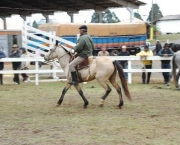 Cavalo Campeiro (3)