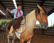 Cavalo Guarapuara (2)