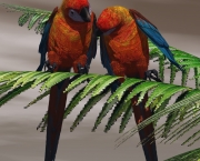 Cuban macaws shutterstock_76167955