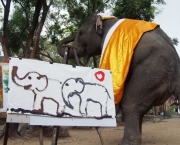Boon Mee - Elefante Pintor (3)