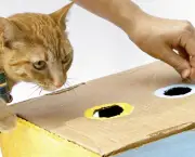 aprenda a fazer brinquedos para gatos 1