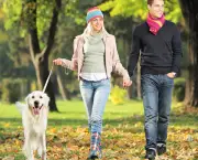 Couple-walking-their-dog-in-the-forest