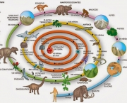 Como a Vida Evoluiu no Planeta (1)