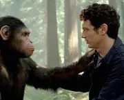Semelhanças Entre o Homem e o Macaco (1)