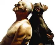 Semelhanças Entre o Homem e o Macaco (12)