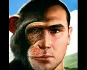 Semelhanças Entre o Homem e o Macaco (13)