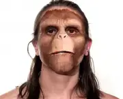 Semelhanças Entre o Homem e o Macaco (17)