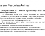 Experimento Animal (14)