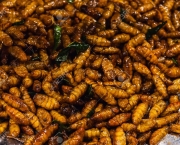 19656553-Fried-larvas-on-the-thailand-night-market-Stock-Photo