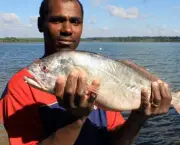 Peixes em Extinção no Brasil e no Mundo (4)