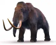 Mamute Animal Pre-historico- (1)