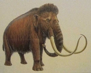 Mamute Animal Pre-historico- (2)