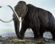 Mamute Animal Pre-historico- (9)