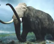 Mamute Animal Pre-historico- (15)