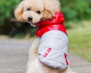 3-Colors-Warm-Winter-Pet-Puppy-Dog-Clothes-Teddy-Poodle-Winter-Dog-Overall-Clothing-for-girls