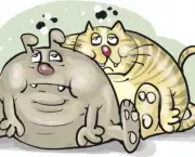 Obesidade Em Caes e Gatos (2)