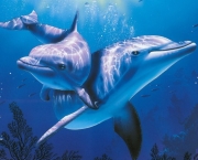 Reprodução e Tempo de Gestação dos Golfinhos (17)