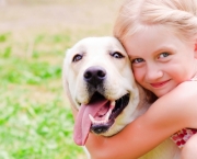 Sinal de Negligência - Cuidados com os Pets (8)