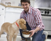 Sinal de Negligência - Cuidados com os Pets (13)
