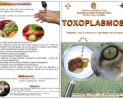 Toxoplasmose (6)