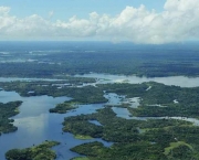 Zonas de Combate na Floresta Amazonica (13).jpg