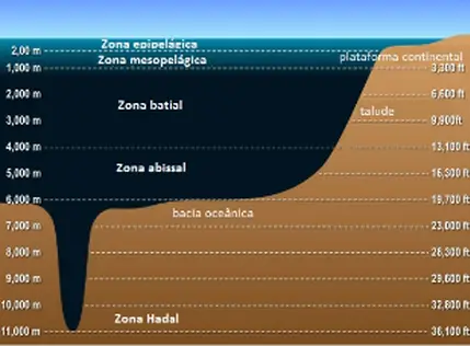 Camadas marinhas são separadas pela profundidade