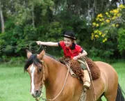 Cavalo Guarapuara (1)