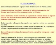 Classe Dos Mamíferos (9)
