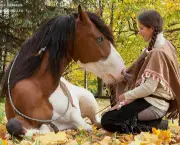 Como Adestrar Cavalos (7)
