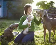 Dicas Sobre Cuidados Com o Cão (5)