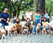 Adestramento de Cães em Grupo (1)