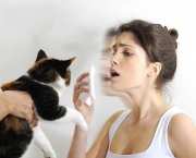Alergias Em Gatos (1)