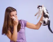 Alergias Em Gatos (14)