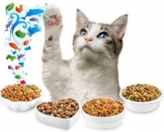 alimentacao-para-gatos (7)