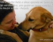 Ame os Animais (18)