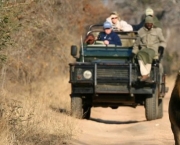 Animais no Safari Africano (8)