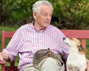 Senior Man With Pets