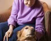 Elderly Caucasian woman in bedroom at retirement community center petting therapy dog.
