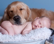 Dog and Baby Nap Together