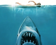 Ataques de Tubarões (3)