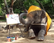 Boon Mee - Elefante Pintor (2)