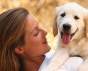 Cão - O Melhor Amigo do Homem (4)