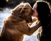 Cão - O Melhor Amigo do Homem (6)