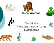 Caracteristicas do Reino Animalia (2)