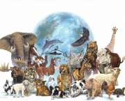 Caracteristicas do Reino Animalia (15)