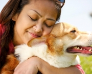 Carinho e Atenção para seu pet (1)