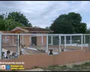 Como Construir um Canil (3)