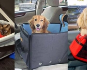 Como Transportar Animais De Estimação No Carro (4)