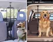 Como Transportar Animais De Estimação No Carro (7)