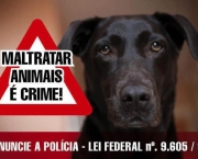 crimes-contra-animais (1)